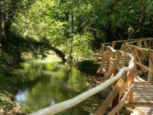 centralen balkan, park