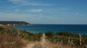Kara dere-1