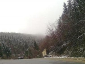 Zima