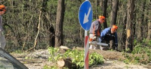 sech v borisovata