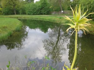 20140502_180145