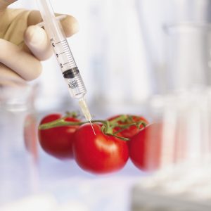 GMO