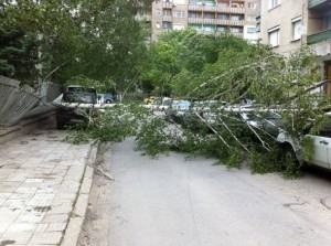 Снимка: архив