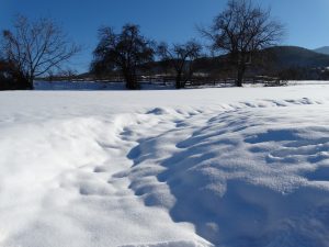 DSC03704