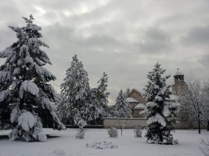 sniag-Sofia