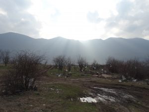 DSC04484