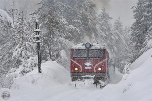 Снимка: архив, http://www.narrowgauge.railwaymodeling.com