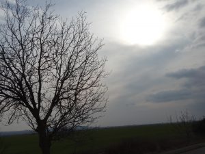DSC03421