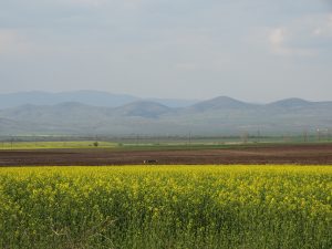 DSC04909