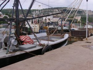 Vivitar
