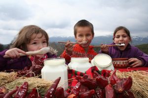 Спартак и приятелите му обожават млякото на мама. (1)