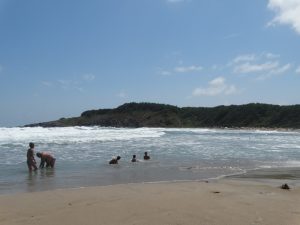 DSC06878