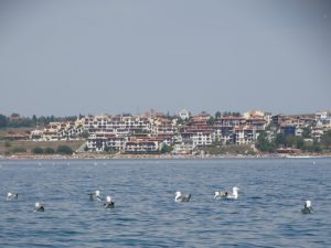 DSC07109