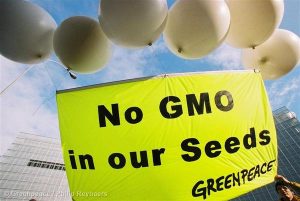 Balloons are used to support a banner reading 'No GMO in our seeds' outside the Council of Agricultural ministers' building.