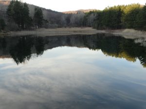 DSC09048