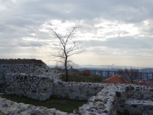 DSC09123