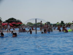 DSC03447