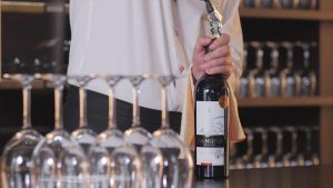 Uva Nestum-Wine tasting_M22(1)